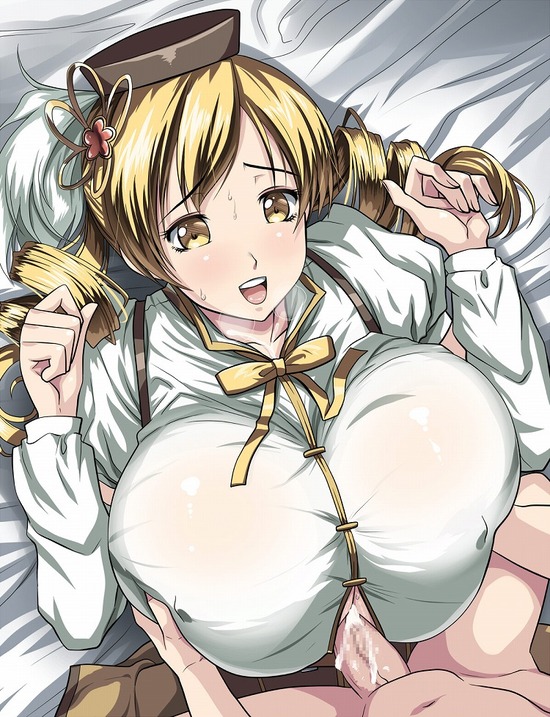 【二次エロ】巨乳なオッパイでおチンチンを挟んであげるお姉さんたちのパイズリ画像がみたい！ 20