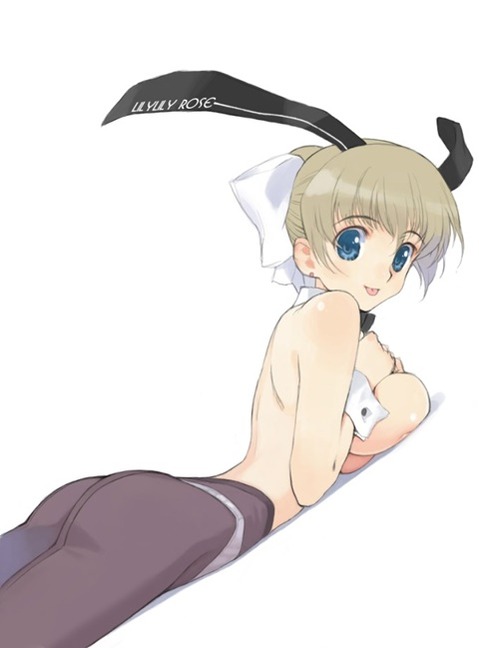 うさ耳が可愛い女の子の二次エロ画像②　100枚 33