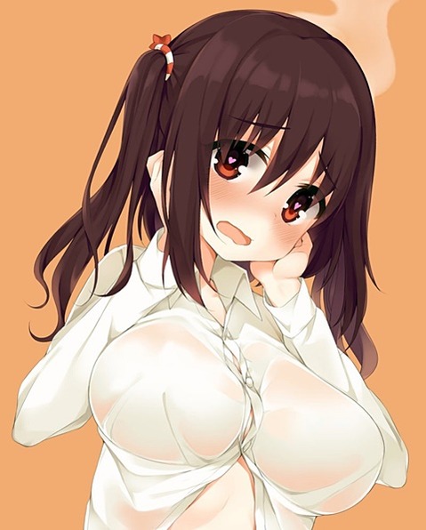 巨乳・爆乳すぎる女の子の二次エロ画像⑬　25枚 8