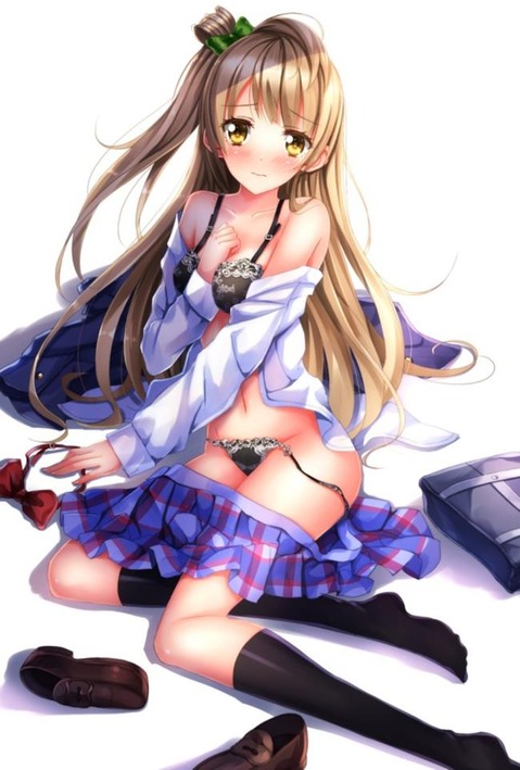 【ラブライブ!】南ことりの二次エロ画像　100枚 86