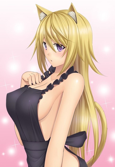 裸エプロンがエロくて仕方ない二次エロ画像⑨　25枚 8