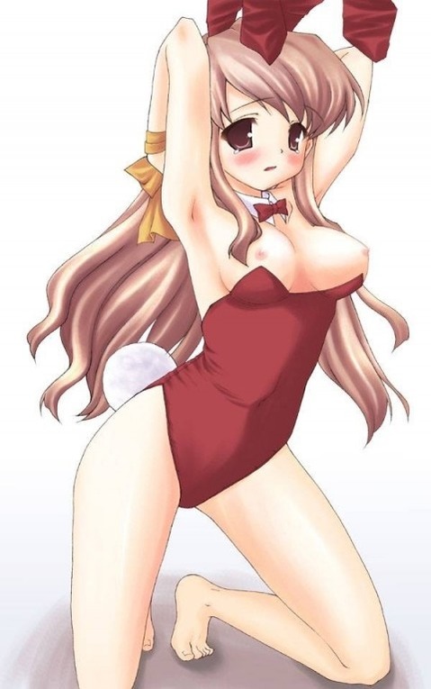 うさ耳が可愛い女の子の二次エロ画像②　100枚 99