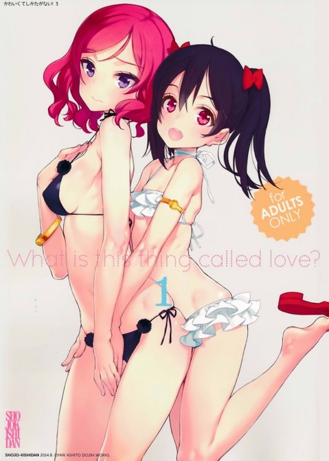 【ラブライブ!】西木野真姫の二次エロ画像　100枚 55