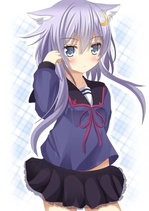 猫耳が可愛い女の子の二次エロ画像①　100枚 43