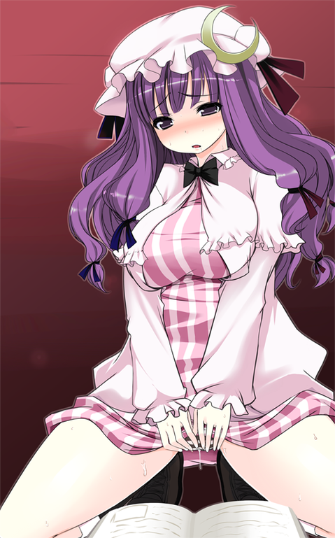 【東方】パチュリー・ノーレッジの二次エロ画像②　100枚【東方Project】 94