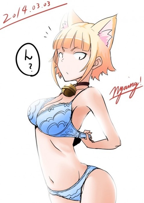 猫耳が可愛い女の子の二次エロ画像①　100枚 49