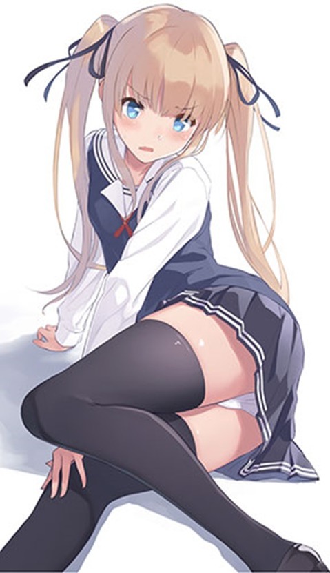 ニーソ・ニーハイを履いた女の子の二次エロ画像⑦　100枚 84