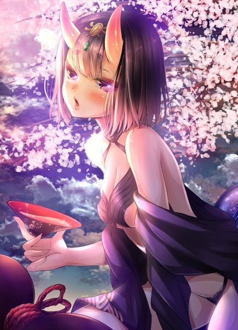 【Fate】酒呑童子の二次エロ②　100枚 13