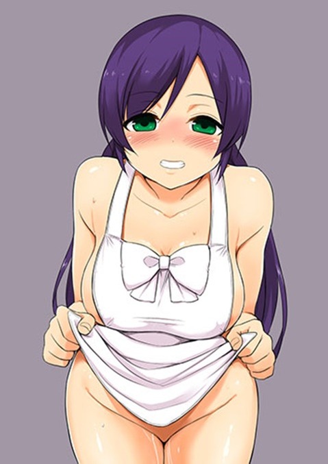 裸エプロンがエロくて仕方ない二次エロ画像⑧　25枚 12