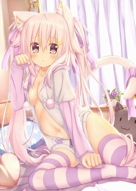 ニーソ・ニーハイを履いた女の子の二次エロ画像①　100枚 31