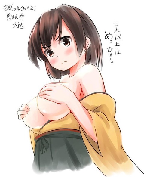 【艦これ】飛龍の二次エロ画像　100枚【艦隊これくしょん】 12