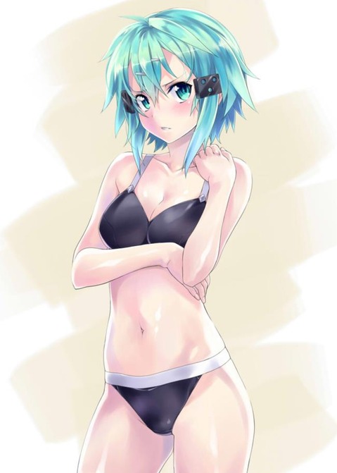 【SAO】シノン(朝田詩乃)のエロ画像　100枚【ソードアート・オンライン】 92