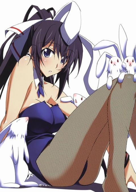 うさ耳が可愛い女の子の二次エロ画像②　100枚 71