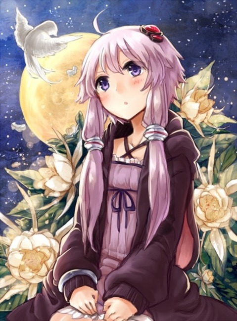 【ボイスロイド】結月ゆかりの二次エロ画像⑪　25枚【VOICEROID】 5