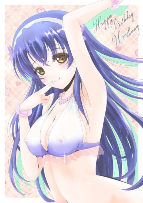 【ラブライブ!】園田海未の二次エロ画像　100枚 8