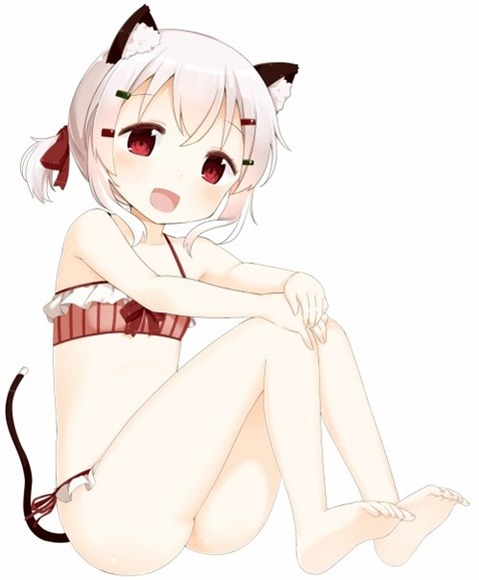 猫耳が可愛い女の子の二次エロ画像①　100枚 47