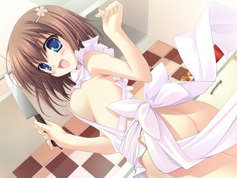 裸エプロンがエロくて仕方ない二次エロ画像⑰　25枚 5
