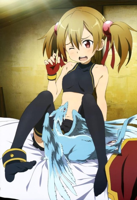 【SAO】シリカ(綾野珪子）の二次エロ画像　50枚【ソードアート・オンライン】 20