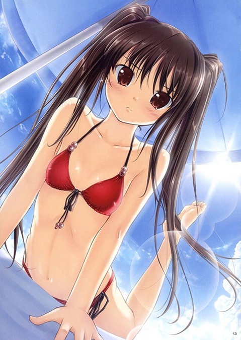 貧乳・微乳・ちっぱいな女の子の二次エロ画像㉜　25枚 5