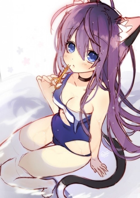 猫耳が可愛い女の子の二次エロ画像⑤　100枚 30
