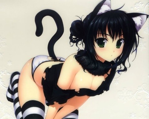 ニーソ・ニーハイを履いた女の子の二次エロ画像③　100枚 58