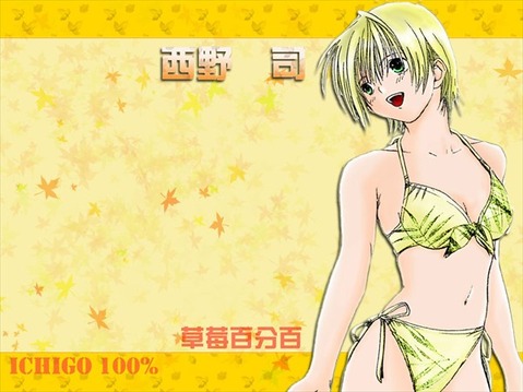 【いちご100%】西野つかさの二次エロ画像　100枚 24