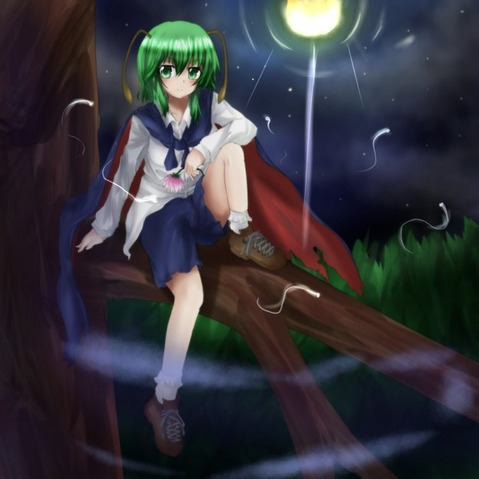 【東方】リグル・ナイトバグの二次エロ画像②　100枚【東方Project】 55