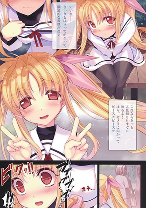 ツインテールの女の子の二次エロ画像①　100枚 30