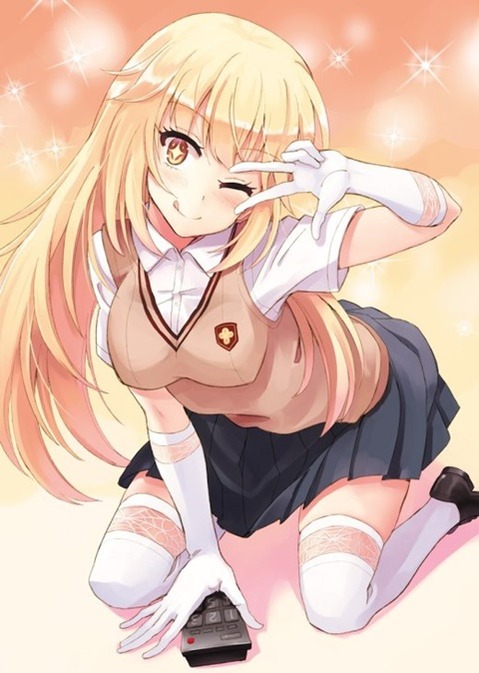 ニーソ・ニーハイを履いた女の子の二次エロ画像②　100枚 66
