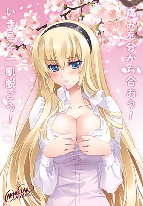 裸にシャツを羽織った女の子の二次エロ画像②　25枚 6