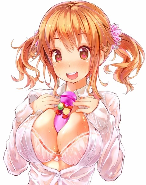ツインテールの女の子の二次エロ画像③　100枚 12