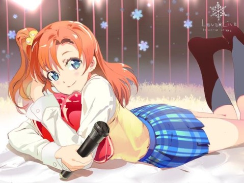 【ラブライブ！】高坂 穂乃果の二次エロ画像　50枚 44