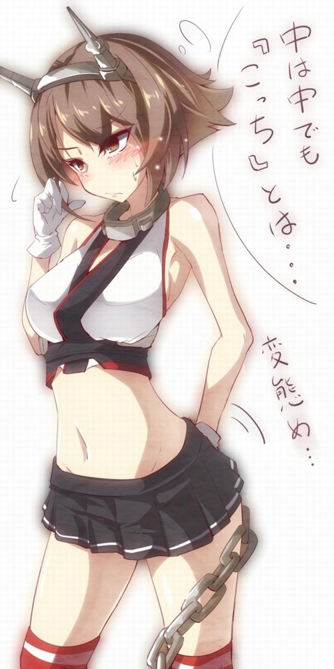 【艦これ】陸奥の二次エロ画像①　100枚【艦隊これくしょん】 66