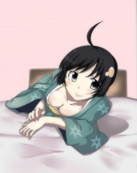 【物語シリーズ】阿良々木月火の二次エロ画像　100枚 84