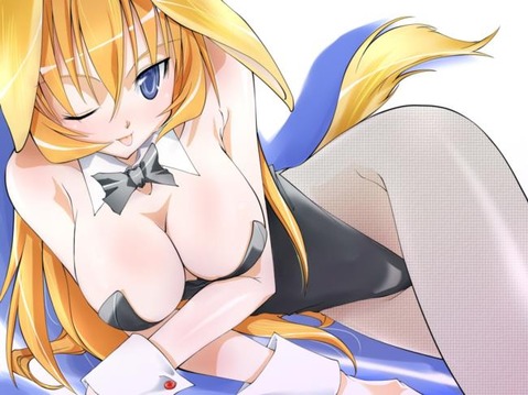 【ストパン】シャーロット・E・イェーガー(シャーリー)の二次エロ画像②　100枚【ストライクウィッチーズ】 79