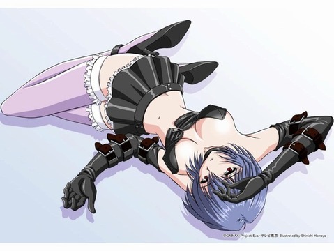 【エヴァ】綾波レイの二次エロ画像　100枚【新世紀エヴァンゲリオン】 45