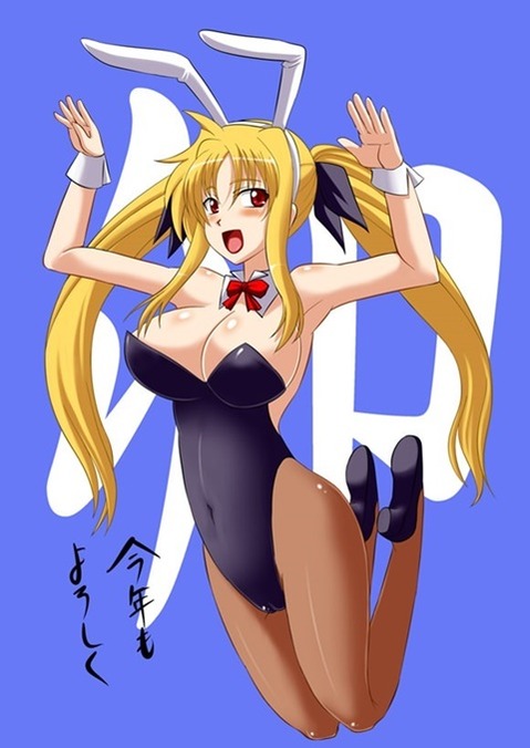 うさ耳が可愛い女の子の二次エロ画像④　100枚 23