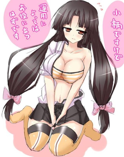 【艦これ】祥鳳の二次エロ画像①　100枚【艦隊これくしょん】 64