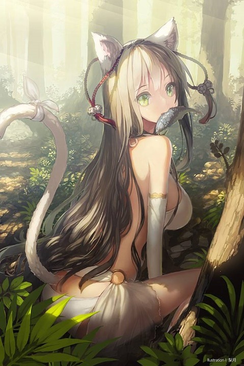 猫耳が可愛い女の子の二次エロ画像①　100枚 72