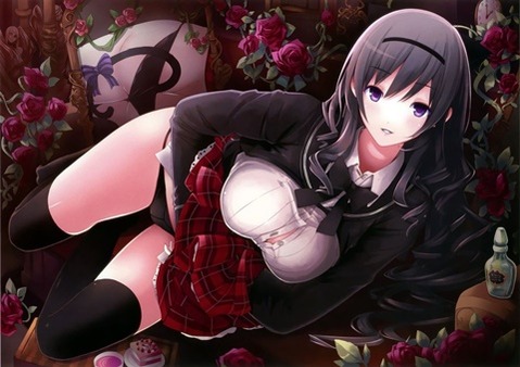 ニーソ・ニーハイを履いた女の子の二次エロ画像④　100枚 34