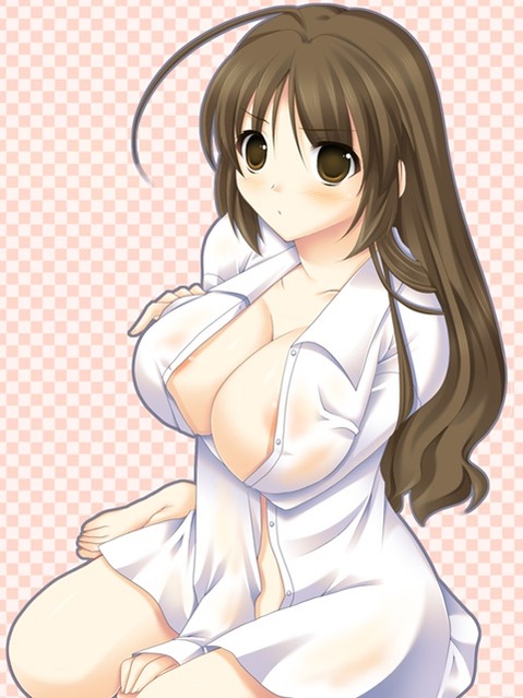 裸にシャツを羽織った女の子の二次エロ画像①　25枚 6