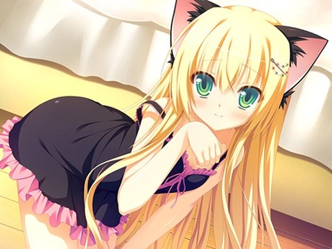 猫耳が可愛い女の子の二次エロ画像①　100枚 12