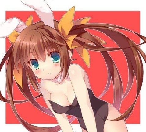 うさ耳が可愛い女の子の二次エロ画像④　100枚 89
