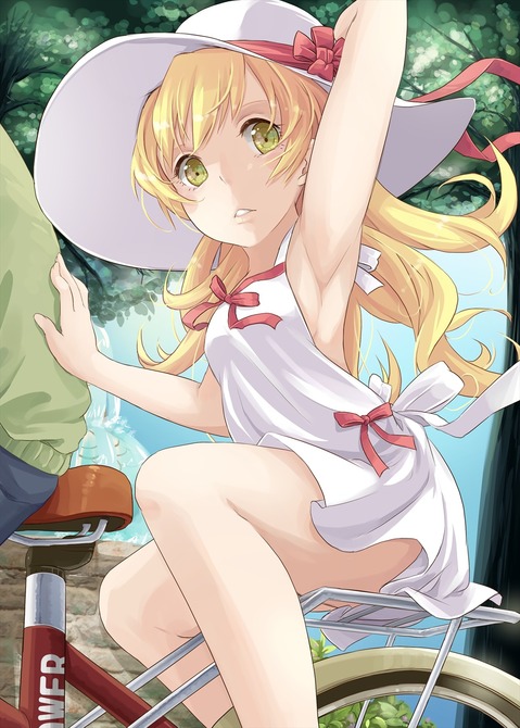 【化物語】忍野忍の二次エロ画像②　100枚 69