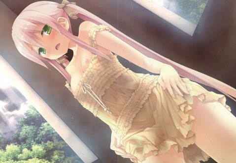 貧乳・微乳・ちっぱいな女の子の二次エロ画像㉚　25枚 24
