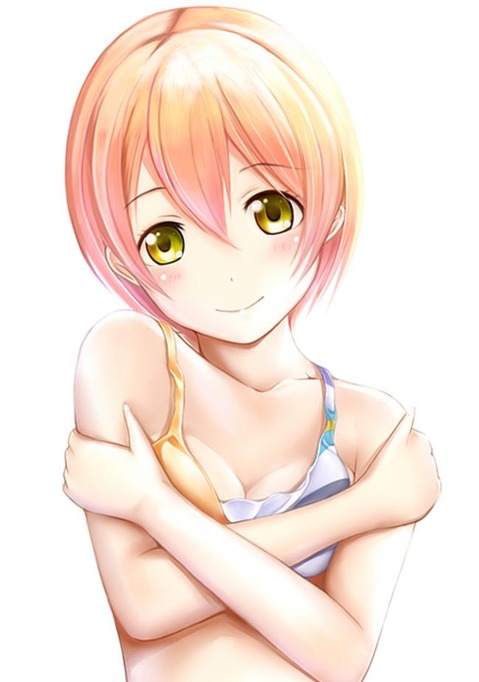 【ラブライブ!】星空凛の二次エロ画像　100枚 72