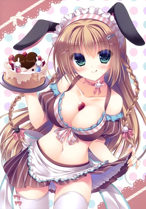 うさ耳が可愛い女の子の二次エロ画像④　100枚 87