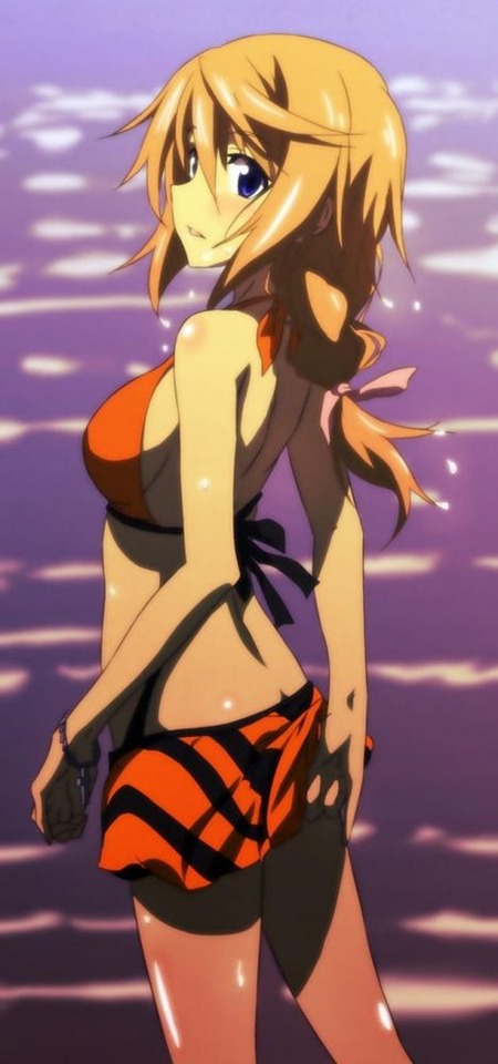 褐色肌がセクシーな女の子の二次エロ画像②　100枚 17