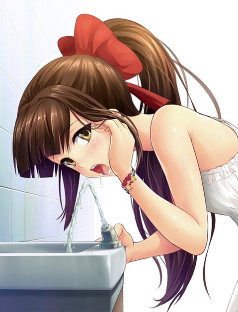ポニーテールが可愛い女の子の二次エロ画像⑧　25枚 13