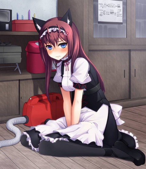 【STEINS;GATE】牧瀬 紅莉栖の二次エロ画像　50枚【シュタインズ・ゲート】 43